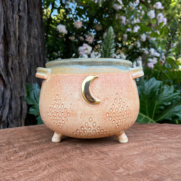 Large Earthy Cauldron-022 Throw and grow ceramics