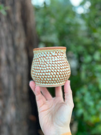 Fern mug-009 Throw and grow ceramics