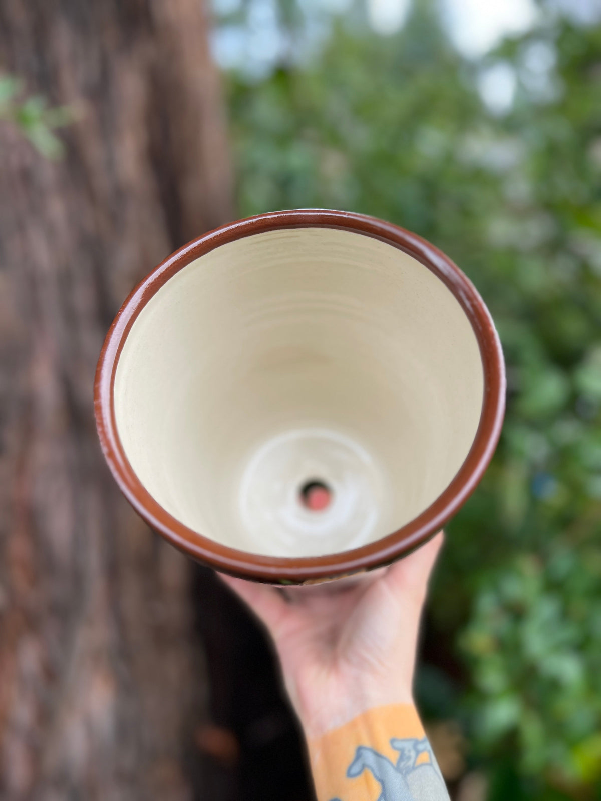 Painted Floral Planter Throw and grow ceramics